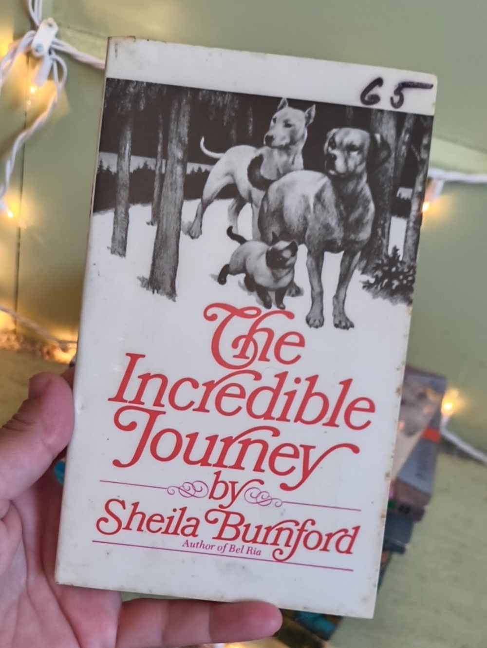 Books 📚🆓 The Incredible Journey By Sheila Burnford Homeward Bound